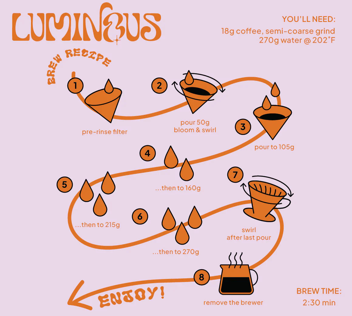 LUMINOUS - COLOMBIA PINK BOURBON PEACH CO-FERMENT, 100g